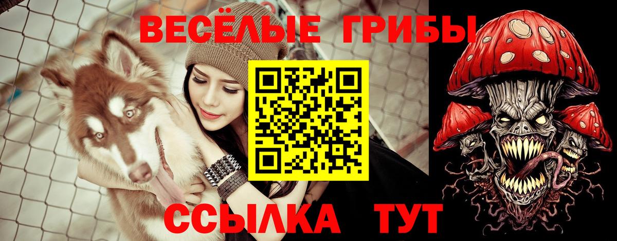 Набережные Челны  Псилоцибиновые грибы Psilocybine cubensis  Вход с VPN 